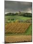 Vineyards Near Lons Le Saunier, Jura, Rhone Alpes, France-Michael Busselle-Mounted Photographic Print