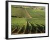 Vineyards Near Lugny, Burgundy (Bourgogne), France-Michael Busselle-Framed Photographic Print