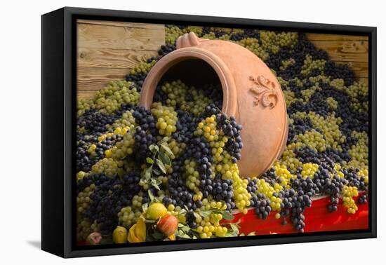 Vineyards near Monte Falco-Terry Eggers-Framed Stretched Canvas