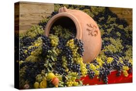 Vineyards near Monte Falco-Terry Eggers-Stretched Canvas