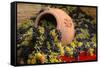 Vineyards near Monte Falco-Terry Eggers-Framed Stretched Canvas