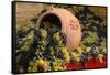 Vineyards near Monte Falco-Terry Eggers-Framed Stretched Canvas