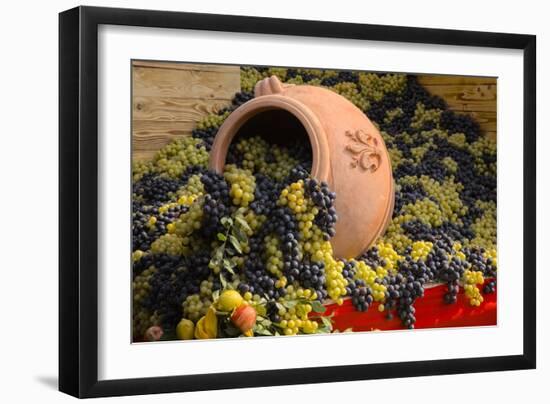 Vineyards near Monte Falco-Terry Eggers-Framed Photographic Print