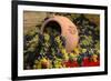 Vineyards near Monte Falco-Terry Eggers-Framed Photographic Print