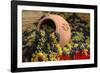 Vineyards near Monte Falco-Terry Eggers-Framed Photographic Print