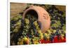 Vineyards near Monte Falco-Terry Eggers-Framed Photographic Print