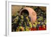 Vineyards near Monte Falco-Terry Eggers-Framed Photographic Print