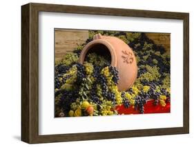 Vineyards near Monte Falco-Terry Eggers-Framed Photographic Print