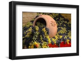 Vineyards near Monte Falco-Terry Eggers-Framed Photographic Print