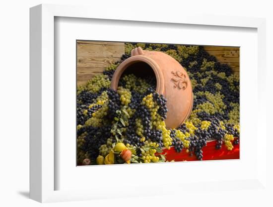 Vineyards near Monte Falco-Terry Eggers-Framed Photographic Print