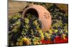 Vineyards near Monte Falco-Terry Eggers-Mounted Photographic Print