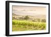 Vineyards near Montefalco, known for its red wine of Sagrantino, Val di Spoleto, Umbria, Italy-Julian Elliott-Framed Photographic Print