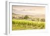 Vineyards near Montefalco, known for its red wine of Sagrantino, Val di Spoleto, Umbria, Italy-Julian Elliott-Framed Photographic Print