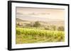 Vineyards near Montefalco, known for its red wine of Sagrantino, Val di Spoleto, Umbria, Italy-Julian Elliott-Framed Photographic Print