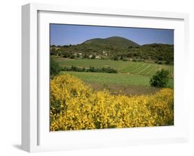 Vineyards Near Moureze, Herault, Languedoc-Roussillon, France-Michael Busselle-Framed Photographic Print