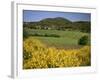 Vineyards Near Moureze, Herault, Languedoc-Roussillon, France-Michael Busselle-Framed Photographic Print