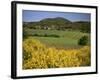 Vineyards Near Moureze, Herault, Languedoc-Roussillon, France-Michael Busselle-Framed Photographic Print