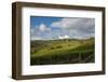 Vineyards near Panzano-Guido Cozzi-Framed Photographic Print