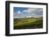 Vineyards near Panzano-Guido Cozzi-Framed Photographic Print