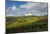 Vineyards near Panzano-Guido Cozzi-Mounted Photographic Print