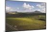 Vineyards near Partinico on Sicily-Guido Cozzi-Mounted Photographic Print