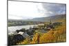 Vineyards near Piesport, Moselle Valley, Rhineland-Palatinate, Germany, Europe-Hans-Peter Merten-Mounted Photographic Print