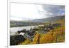 Vineyards near Piesport, Moselle Valley, Rhineland-Palatinate, Germany, Europe-Hans-Peter Merten-Framed Photographic Print