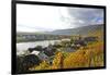 Vineyards near Piesport, Moselle Valley, Rhineland-Palatinate, Germany, Europe-Hans-Peter Merten-Framed Photographic Print