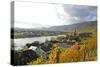 Vineyards near Piesport, Moselle Valley, Rhineland-Palatinate, Germany, Europe-Hans-Peter Merten-Stretched Canvas