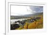 Vineyards near Piesport, Moselle Valley, Rhineland-Palatinate, Germany, Europe-Hans-Peter Merten-Framed Photographic Print