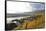 Vineyards near Piesport, Moselle Valley, Rhineland-Palatinate, Germany, Europe-Hans-Peter Merten-Framed Stretched Canvas