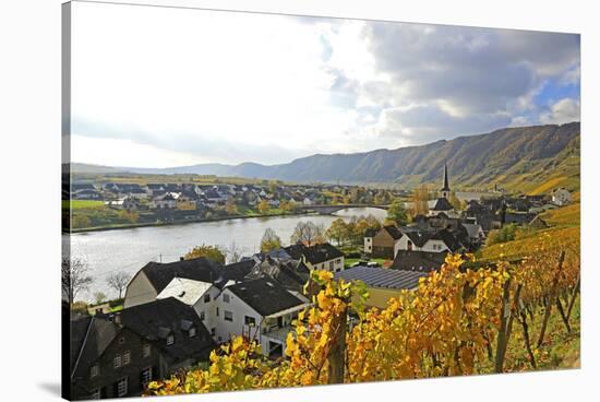 Vineyards near Piesport, Moselle Valley, Rhineland-Palatinate, Germany, Europe-Hans-Peter Merten-Stretched Canvas