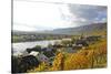 Vineyards near Piesport, Moselle Valley, Rhineland-Palatinate, Germany, Europe-Hans-Peter Merten-Stretched Canvas