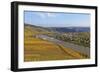 Vineyards near Piesport, Moselle Valley, Rhineland-Palatinate, Germany, Europe-Hans-Peter Merten-Framed Photographic Print