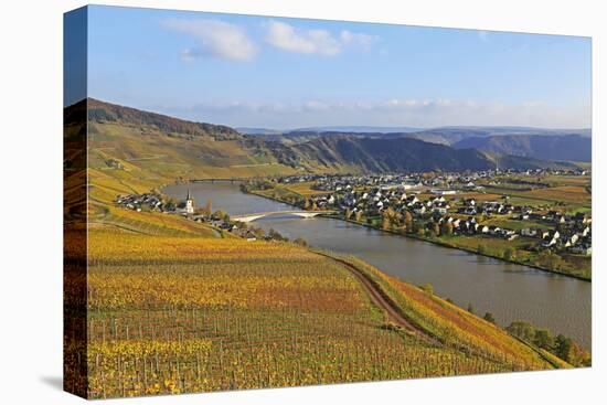 Vineyards near Piesport, Moselle Valley, Rhineland-Palatinate, Germany, Europe-Hans-Peter Merten-Stretched Canvas