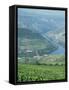 Vineyards Near Pinhao, Douro Region, Portugal, Europe-Harding Robert-Framed Stretched Canvas