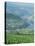Vineyards Near Pinhao, Douro Region, Portugal, Europe-Harding Robert-Stretched Canvas