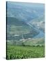 Vineyards Near Pinhao, Douro Region, Portugal, Europe-Harding Robert-Stretched Canvas