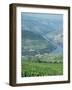 Vineyards Near Pinhao, Douro Region, Portugal, Europe-Harding Robert-Framed Photographic Print