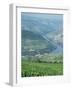 Vineyards Near Pinhao, Douro Region, Portugal, Europe-Harding Robert-Framed Photographic Print