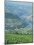 Vineyards Near Pinhao, Douro Region, Portugal, Europe-Harding Robert-Mounted Photographic Print