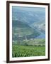 Vineyards Near Pinhao, Douro Region, Portugal, Europe-Harding Robert-Framed Photographic Print