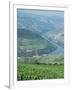 Vineyards Near Pinhao, Douro Region, Portugal, Europe-Harding Robert-Framed Photographic Print