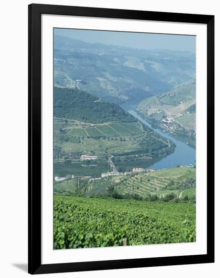 Vineyards Near Pinhao, Douro Region, Portugal, Europe-Harding Robert-Framed Photographic Print