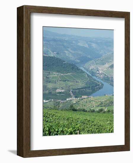 Vineyards Near Pinhao, Douro Region, Portugal, Europe-Harding Robert-Framed Photographic Print