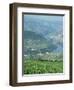 Vineyards Near Pinhao, Douro Region, Portugal, Europe-Harding Robert-Framed Photographic Print