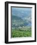 Vineyards Near Pinhao, Douro Region, Portugal, Europe-Harding Robert-Framed Photographic Print