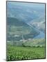 Vineyards Near Pinhao, Douro Region, Portugal, Europe-Harding Robert-Mounted Photographic Print