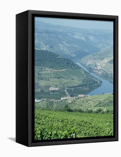 Vineyards Near Pinhao, Douro Region, Portugal, Europe-Harding Robert-Framed Stretched Canvas