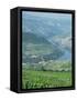 Vineyards Near Pinhao, Douro Region, Portugal, Europe-Harding Robert-Framed Stretched Canvas